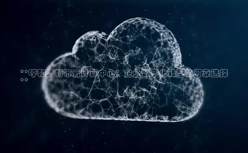 28圈平台链接观星盘**呼和浩特市云计算中心：企业数字化转型的可靠选择
**