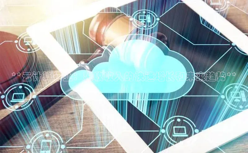 28圈.ccmpc正版彩讯股份**云计算行业：税收收入的快速增长和未来趋势**