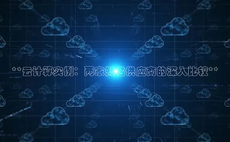能玩加拿大28的网址百度营销中心**云计算实例：两家知名供应商的深入比较**