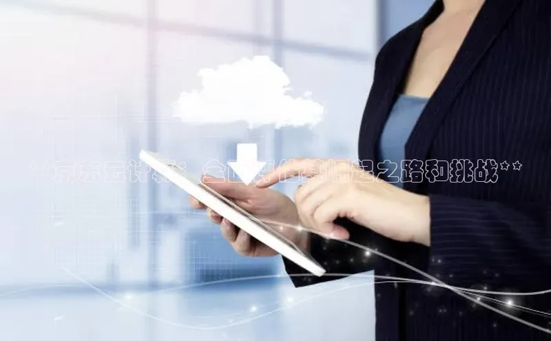 加拿大NG28娱乐软件同程**京东云计算：全面评估其崛起之路和挑战**