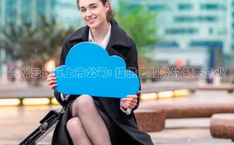 加拿大28圈预测准确率高的百度百聘贵州云计算上市公司: 提供云服务的领先企业