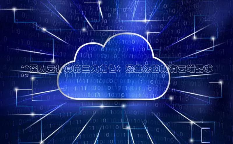 28圈.ccmpc29官网版下载云创智行**深入云计算的三大角色：涵盖您的所有云端需求
**