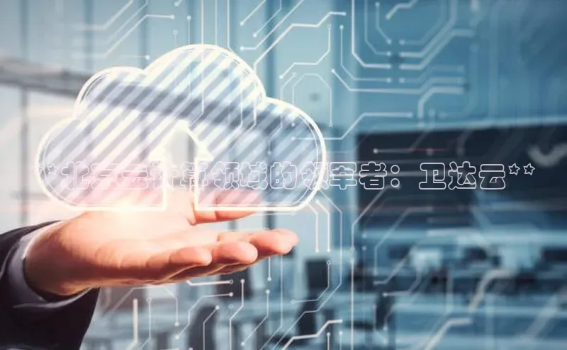 28电子游戏官方网站极氪智能科技**北京云计算领域的领军者：卫达云**