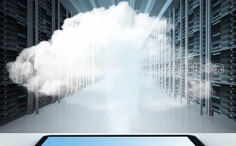 加拿大28圈数字规则视觉中国华为云计算转型的动机：从电信巨头到技术先
锋