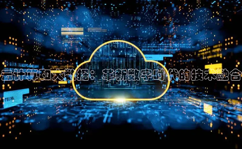 加拿大28圈预测大神百度学术云计算和大数据：革新数字时代的技术融合