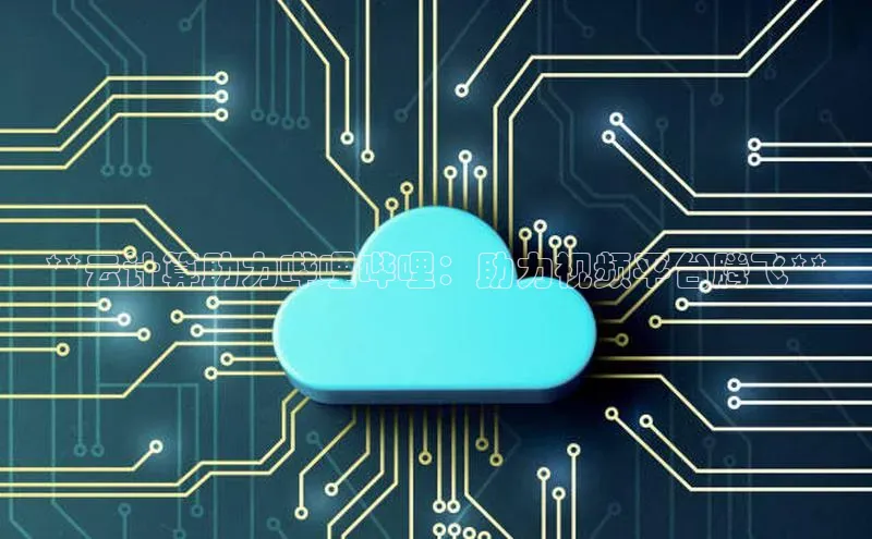 28圈app注册地址百度翻译App**云计算助力哔哩哔哩：助力视频平台腾飞**