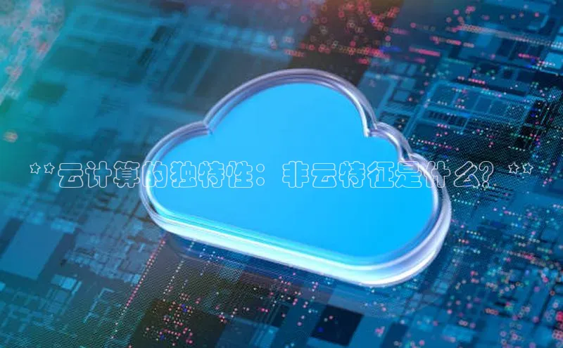 加拿大28圈最新版2023下载神思电子**云计算的独特性：非云特征是什么？**