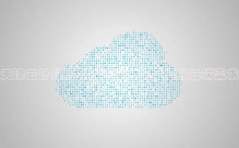 能玩加拿大28的网址百度营销中心天津云计算服务提供商：满足您的云端需求