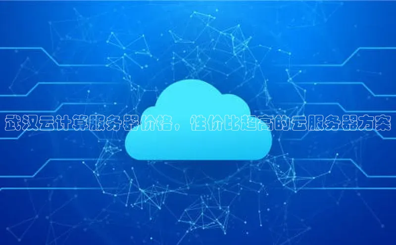 加拿大28圈曹操预测度小满支付武汉云计算服务器价格，性价比超高的云服务器方案