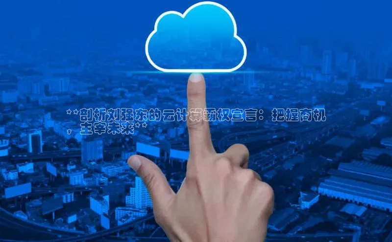 28圈.ccmpc正版宇信科技**剖析刘强东的云计算霸权宣言：把握商机
，主宰未来**