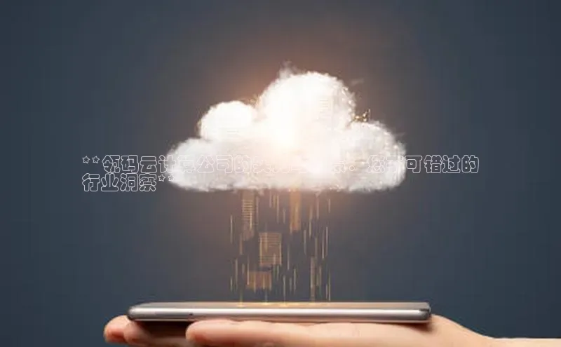 28圈平台官网版下载慧博云通**瓴码云计算公司的实力与前景：您不可错过的
行业洞察**