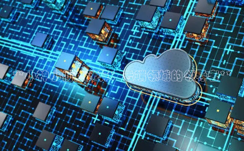 28圈注册网站百度 H5**小神小仙云计算：云端领域的领导者**