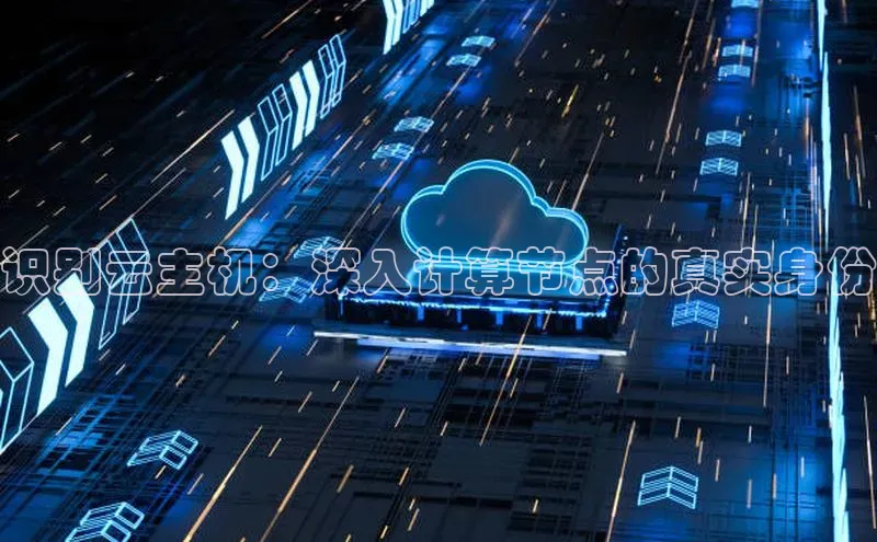 能玩加拿大28的网址江铃新能源识别云主机：深入计算节点的真实身份