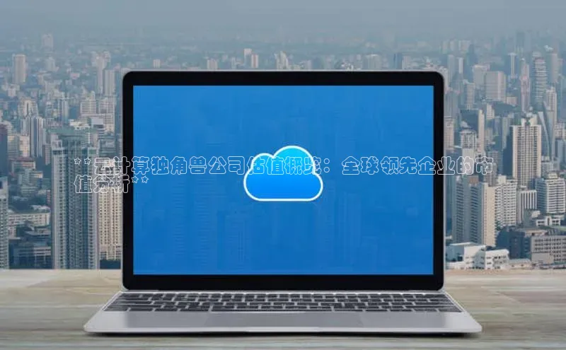 加拿大28圈官网版天键股份**云计算独角兽公司估值概览：全球领先企业的市
值分析**