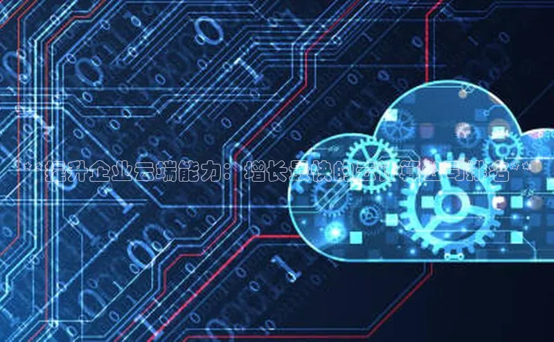 加拿大预测28在线预测官网网易**提升企业云端能力：增长最快的云计算公司排名**